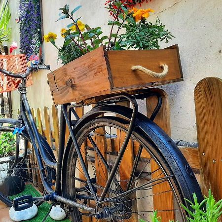 El Jardin De Las Eras Alguena Buitenkant foto